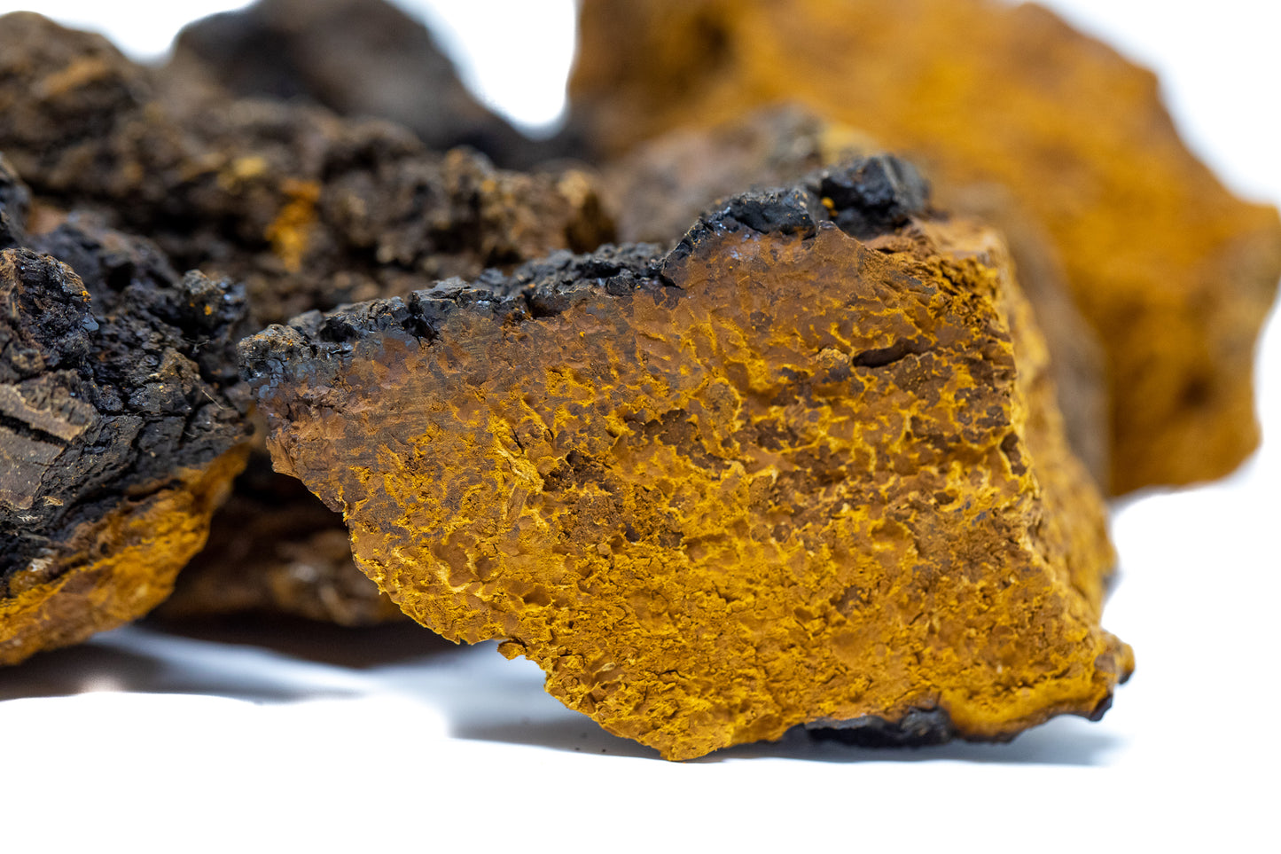Photo of chaga mushrooms|Photo of chaga mushrooms|Photo of Shen Blossom freeze dried silver birch chaga|Photo of chaga mushroom tea|Photo of Shen Blossom freeze dried silver birch chaga