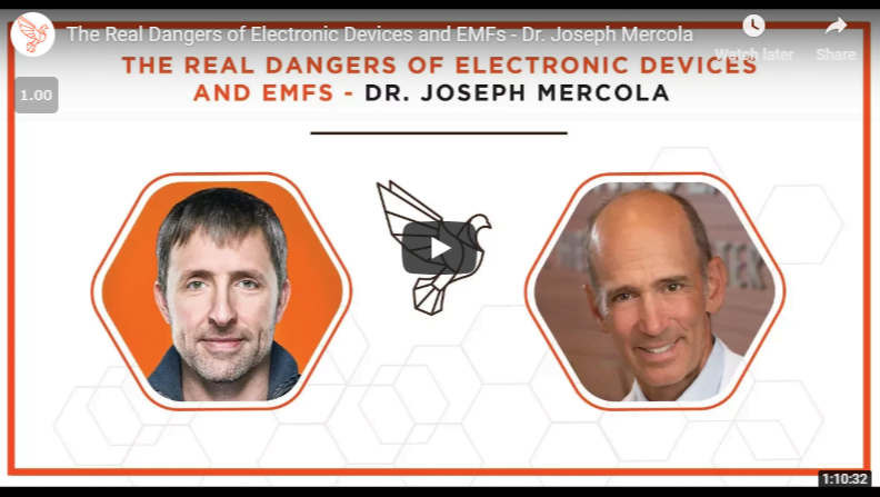 Informative Bulletproof Dr. Joseph Mercola Interview The Real Dangers of Electronic Devices and EMFs - Official US Importer Wholesaler