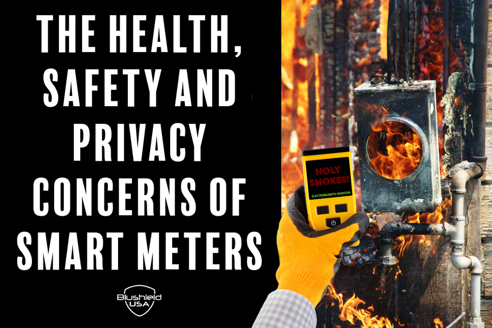 The Health, Safety and Privacy Concerns of Smart Meters