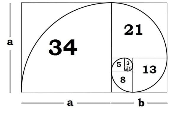 Graphic depicting the Phi ratio spiral with Fibonacci numbers
