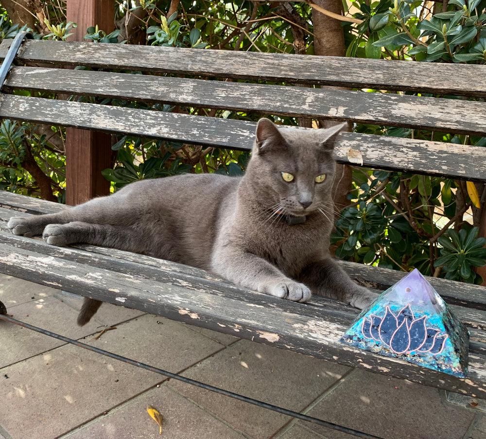 Photo of a gray cat on a wooden bench, looking at a blue and purple orgonite pyramid that's also on the bench