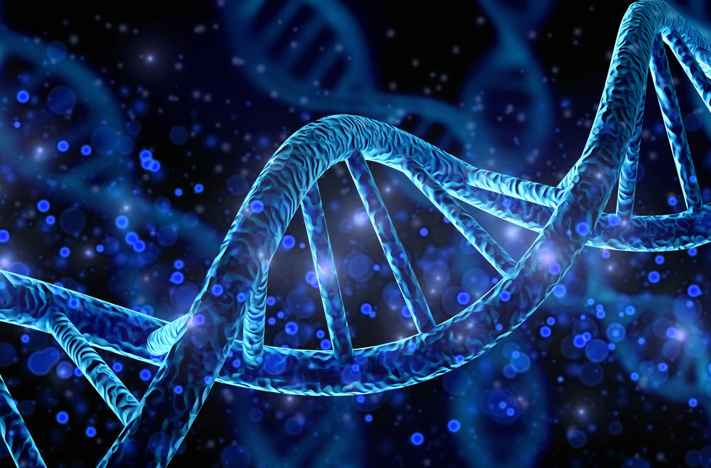 Electromagnetic Fields Cause DNA Damage & Fertility Issues